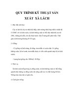 QUY TRÌNH KỸ THUẬT SẢN XUẤT XÀ LÁCH pdf
