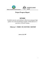 Establish nurseries and training to effectively propagate high quality trees and trial plantation models of Macadamia in 3 provinces of North Vietnam - Milestone 7 
