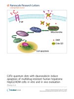 Báo cáo hóa học: 