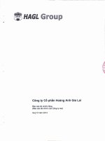 Báo cáo tài chính công ty cổ phần hoàng anh gia lai