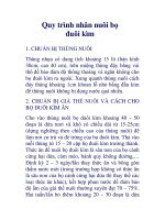 Quy trình nhân nuôi bọ đuôi kìm doc