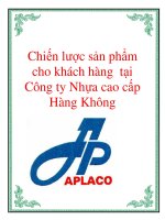 Chiến lược sản phẩm cho khách hàng tại Công ty Nhựa cao cấp Hàng Không doc