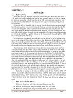 Khảo sát và đánh giá hiện trạng môi trường Thành phố Qui Nhơn, tỉnh Bình Định nhằm xây dựng các giải pháp quản lý môi trường theo hướng khu đô thị sinh thái