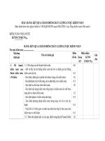 MẪU: BẢNG KẾT QUẢ CHẤM ĐIỂM CHẤT LƯỢNG CUỘC KIỂM TOÁN doc