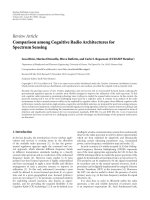 Báo cáo hóa học: 