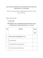 MẪU: BẢNG TỔNG HỢP KẾT QUẢ CHẤM ĐIỂM CHẤT LƯỢNG CUỘC KIỂM TOÁN CỦA VỤ TỔNG HỢP potx