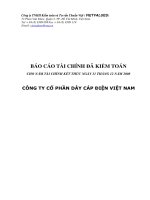Báo cáo tài chính đã kiểm toán cho năm tài chính kết thúc ngày 31 tháng 12 năm 2008 công ty cổ phần dây cáp điện việt nam