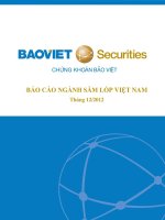 BÁO CÁO NGÀNH SĂM LỐP VIỆT NAM Tháng 12/2012