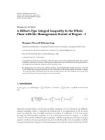 Báo cáo hóa học: 