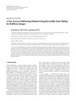 Báo cáo hóa học: 