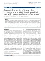 Allahyari et al. Nanoscale Research Letters 2011, 6:360 doc