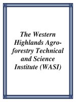 The Western Highlands Agro-forestry Technical and Science Institute (WASI) potx