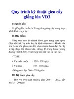 Quy trình kỹ thuật gieo cấy giống lúa VD3 potx