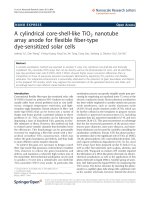 Báo cáo hóa học: 