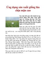 Ứng dụng sản xuất giống lúa chịu mặn cao potx