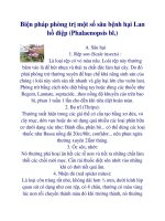 Biện pháp phòng trị một số sâu bệnh hại Lan hồ điệp (Phalaenopsis bl.) potx