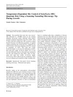 Báo cáo hóa học: 