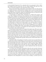 Strategic Information Management Third Edition Challenges and Strategies in Managing Information Systems_4 ppt