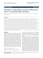 Báo cáo hóa học: 