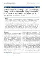 Báo cáo hóa học: 