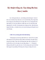 Kỷ thuật trồng sứ ppt