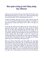 Bảo quản trứng gà tươi bằng màng bọc chitosan pot