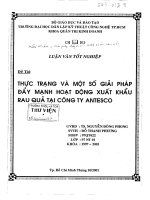 Thực trạng và các giải pháp đẩy mạnh xuất khẩu rau quả tại công ty Antesco