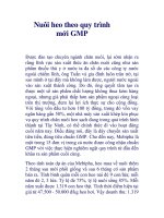 Nuôi heo theo quy trình mới GMP doc