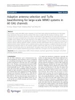 Báo cáo hóa học: 