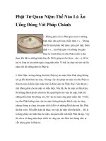 Phật Tử Quan Niệm Thế Nào Là Ăn Uống Đúng Với Pháp Chánh pptx