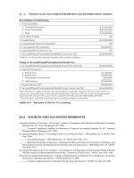 John Wiley Accountants Handbook Volume 2_8 pdf