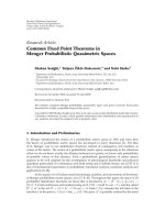 Báo cáo hóa học: 