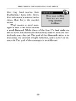 Mastering The Essentials of Sales_3 pdf