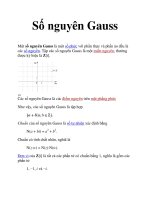Số nguyên Gauss potx