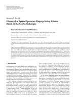 Báo cáo hóa học: 