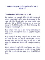 TRỒNG TRỌT CÂY ĂN TRÁI MÙA MƯA, BÃO, LŨ ppt