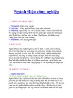 Ngành Điện công nghiệp docx
