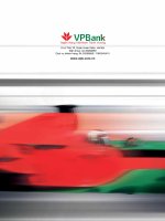 báo cáo thường niên 2010 ngân hàng việt nam thịnh vượng vpbank chuyển đổi mạnh mẽ để thành công