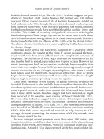 Doing Business in a New Climate A Guide to Measuring, Reducing and Offsetting Greenhouse Gas Emissions by Paul Lingl, Deborah Carlson and The David Suzuki Foundation_1 docx