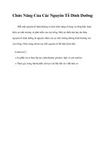 Chức Năng Của Các Nguyên Tố Dinh Dưỡng potx