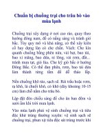 Chuẩn bị chuồng trại cho trâu bò vào mùa lạnh ppt