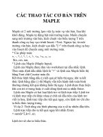 CÁC THAO TÁC CƠ BẢN TRÊN MAPLE pot