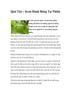 Quả Táo – Kem Đánh Răng Tự Nhiên pot