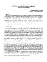 Nghiên cứu khoa học 