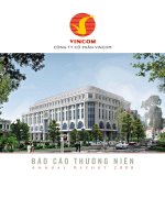 báo cáo thường niên 2008 công ty cổ phần vincom
