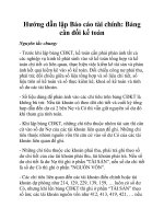 Hướng dẫn lập Báo cáo tài chính: Bảng cân đối kế toán potx