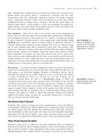 Principles of Service Marketing and Management_4 pot