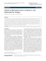 Báo cáo hóa học: 