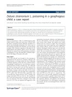 Báo cáo hóa học: 