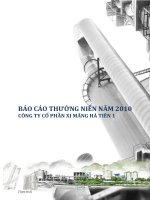BÁO cáo THƯỜNG NIÊN năm 2010 CÔNG TY cổ PHẦN XI MĂNG hà TIÊN 1